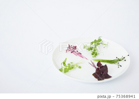 マイクロハーブ 75368941