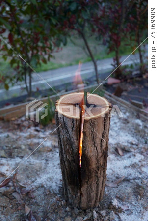 キャンプでスウェーデントーチに火を灯す キャンプでスウェーデントーチに火を灯す 75369909