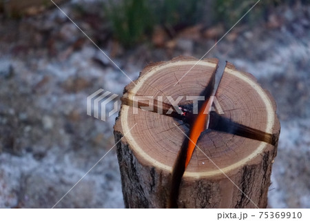 キャンプでスウェーデントーチに火を灯すの写真素材 75369910 Pixta