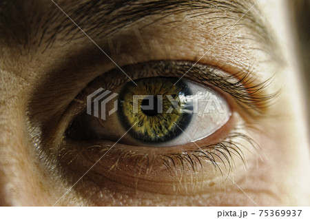Staring Eyes, the door to the soul 75369937