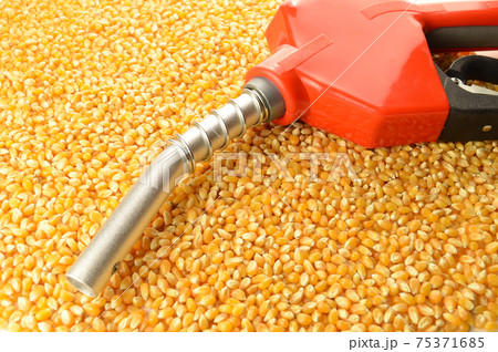 Corn Made Biofuel Corn Made Biofuel 75371685