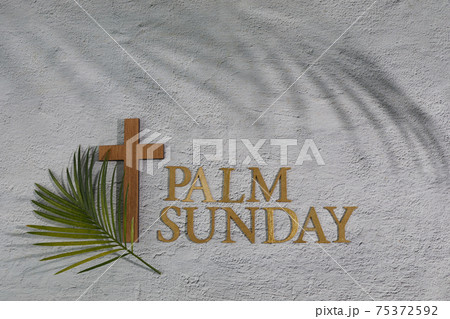 Palm sunday background. Cross and palm on grey background. 75372592