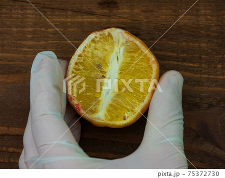 Ugly food trend. Spoiled yellow lemon half with red mold on wooden background. Moldy citrus penicillin inedible fruit Ugly food trend. Spoiled yellow lemon half with red mold on wooden background. Moldy citrus penicillin inedible fruit 75372730