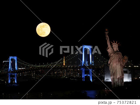 Tokyo　Moonlight 75372821