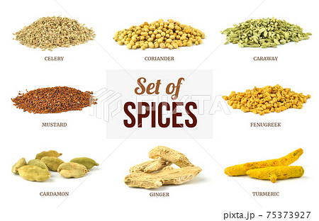 Spices Spices 75373927