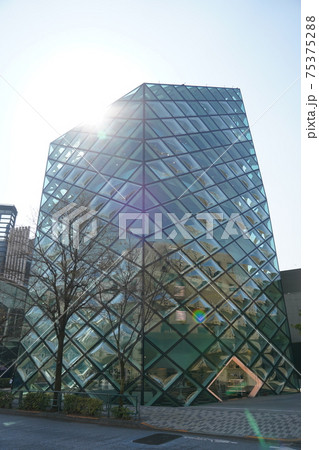 プラダ青山店 プラダ青山店 75375288