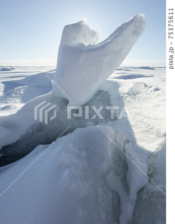 Ice slopes in sunny winter day, transparent ice of blue color, purely blue sky, long shadows, a pure snow-covered virgin soil, snow barkhans, Ice slopes in sunny winter day, transparent ice of blue color, purely blue sky, long shadows, a pure snow-covered virgin soil, snow barkhans, 75375611