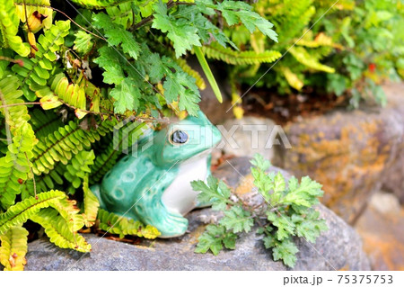緑あふれる庭園に潜むかわいい蛙の置物の写真素材