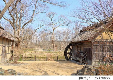 早春の安曇野　河畔の水車小屋 75376055