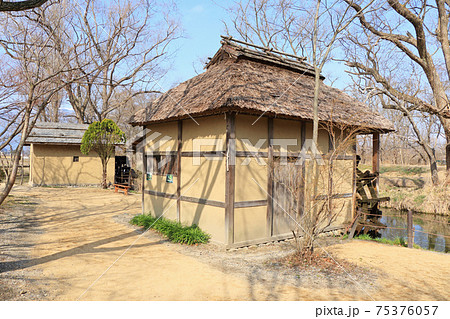 早春の安曇野　河畔の水車小屋 75376057