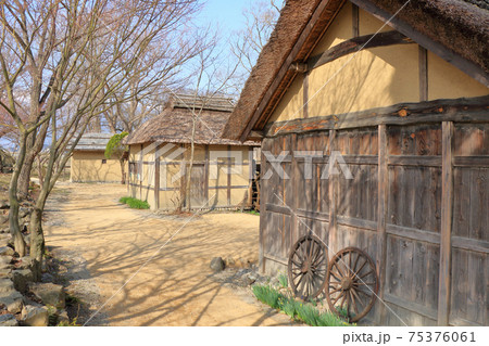 早春の安曇野　河畔の水車小屋 75376061