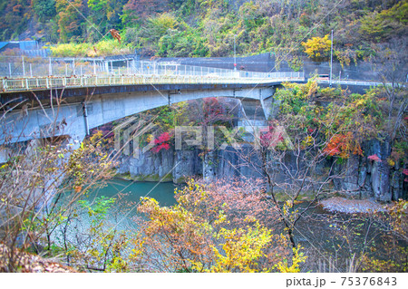利根川沿い紅葉 綾戸橋付近の景色 利根川沿い紅葉 綾戸橋付近の景色 75376843
