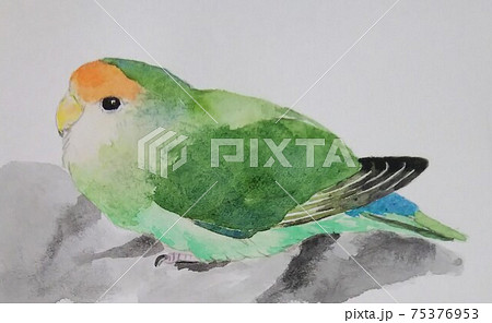 ペタンと止まったコザクラインコのイラスト素材 ペタンと止まったコザクラインコのイラスト素材