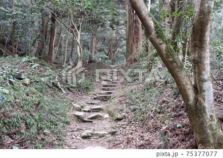 佐和山城への登山道 75377077