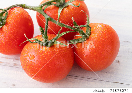 新鮮朝採り、房摘みトマト 75378074