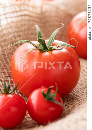 新鮮朝採り、房摘みトマト 新鮮朝採り、房摘みトマト 75378154