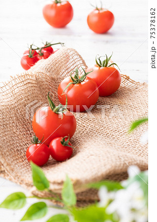 新鮮朝採り、房摘みトマト 新鮮朝採り、房摘みトマト 75378162
