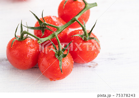 新鮮朝採り、房摘みトマト 75378243