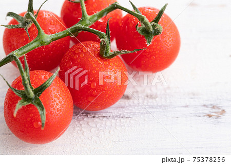 新鮮朝採り、房摘みトマト 新鮮朝採り、房摘みトマト 75378256