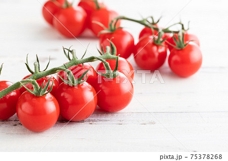 新鮮朝採り、房摘みトマト 新鮮朝採り、房摘みトマト 75378268