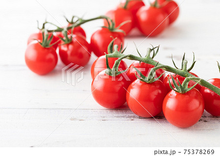 新鮮朝採り、房摘みトマト 75378269