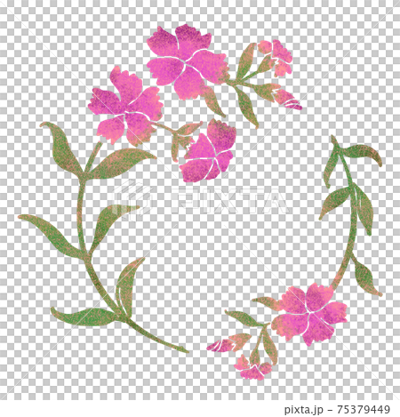 なでしこ　フレーム 75379449