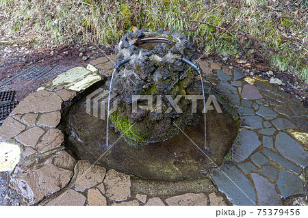 護摩屋敷の水 神奈川県秦野市 護摩屋敷の水 神奈川県秦野市 75379456