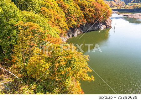 《青森県》津軽白神湖の紅葉・秋の自然風景 《青森県》津軽白神湖の紅葉・秋の自然風景 75380639