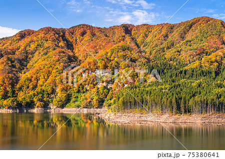 《青森県》津軽白神湖の紅葉・秋の自然風景 《青森県》津軽白神湖の紅葉・秋の自然風景 75380641