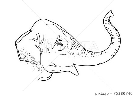 How to draw elephant face  elephant face drawing from 6 dots simple  elephant head face drawing  YouTube