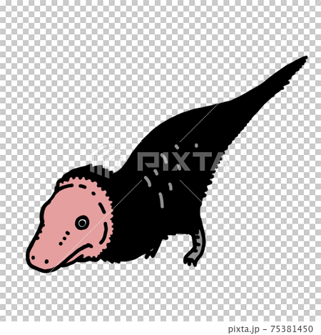 神秘的恐龍霸王龍(彩色插圖) 神秘的恐龍霸王龍(彩色插圖) 75381450