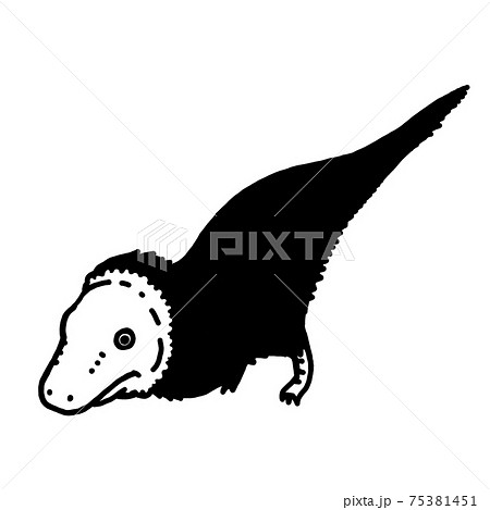 不思議な恐竜 ティラノサウルスくん 不思議な恐竜 ティラノサウルスくん 75381451