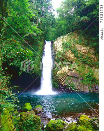 神秘的なパワースポットの浄蓮の滝1 75381558