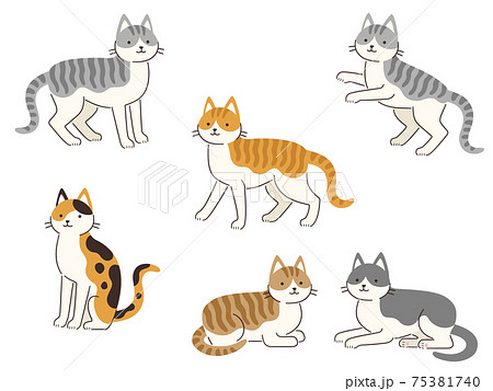 色々な模様とポーズの猫のイラストセットのイラスト素材 [75381740