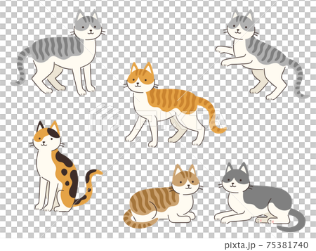色々な模様とポーズの猫のイラストセット 色々な模様とポーズの猫のイラストセット 75381740