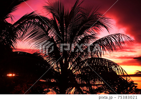 南太平洋の島国サモア独立国　ウポル島西端　海岸からの夕景 75383021