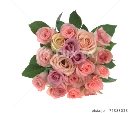 花 フラワー お花 75383038