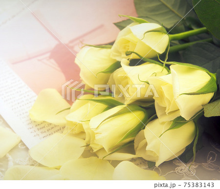 花 フラワー お花 75383143