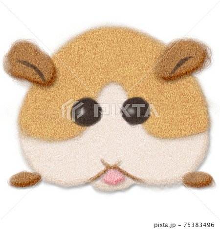 モルモットのフェルト風イラストのイラスト素材