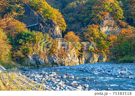 利根川の風景 赤城町棚下の夕景 秋景色 利根川の風景 赤城町棚下の夕景 秋景色 75383518