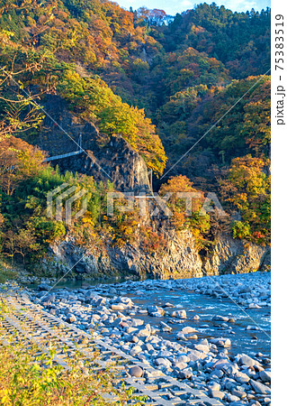 利根川の風景 赤城町棚下の夕景 秋景色 利根川の風景 赤城町棚下の夕景 秋景色 75383519
