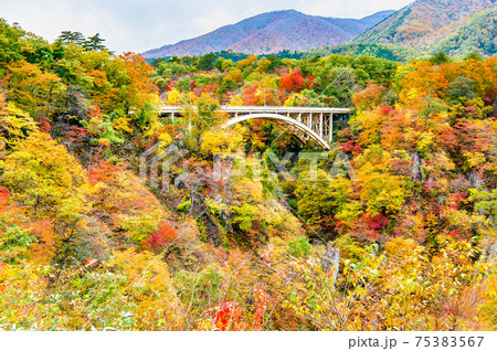 宮城県 紅葉の鳴子峡と大深沢橋（レストハウス見晴らし台からの眺望） 75383567
