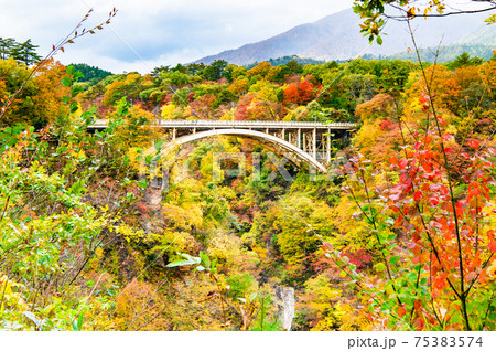 宮城県 紅葉の鳴子峡と大深沢橋(レストハウス見晴らし台からの眺望) 宮城県 紅葉の鳴子峡と大深沢橋(レストハウス見晴らし台からの眺望) 75383574