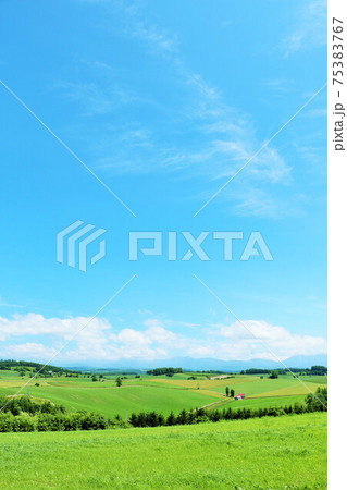 北海道　夏の青空　美瑛の丘 75383767