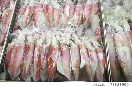 Fresh raw squids 75383999