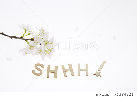 静かに 花見 桜 静かに 花見 桜 75384221