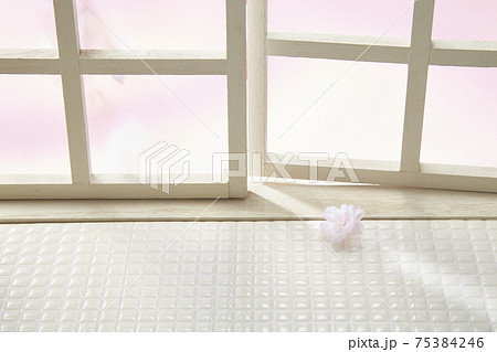 indoor おうちで 桜 お花見 indoor おうちで 桜 お花見 75384246