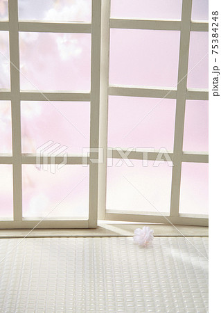 indoor　おうちで　桜　お花見 75384248