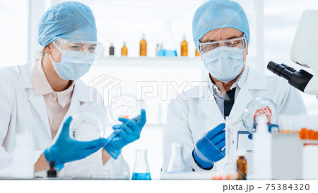Microbiology scientists studying a new type of bacteria . science and health. 75384320