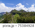 八ヶ岳　中山峠から見る景色 75384928
